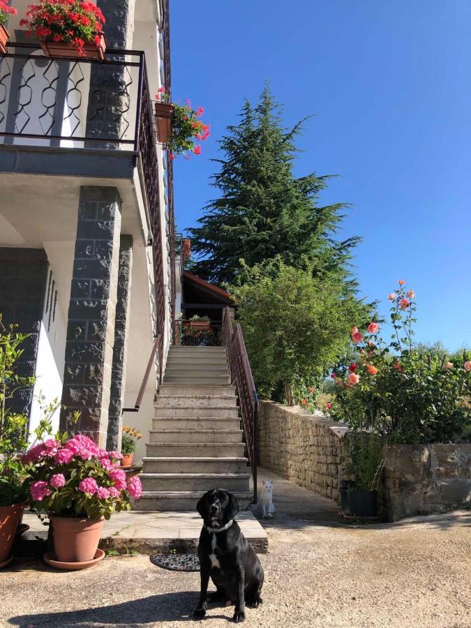 Apartman Villa Romana Grožnjan Exterior foto