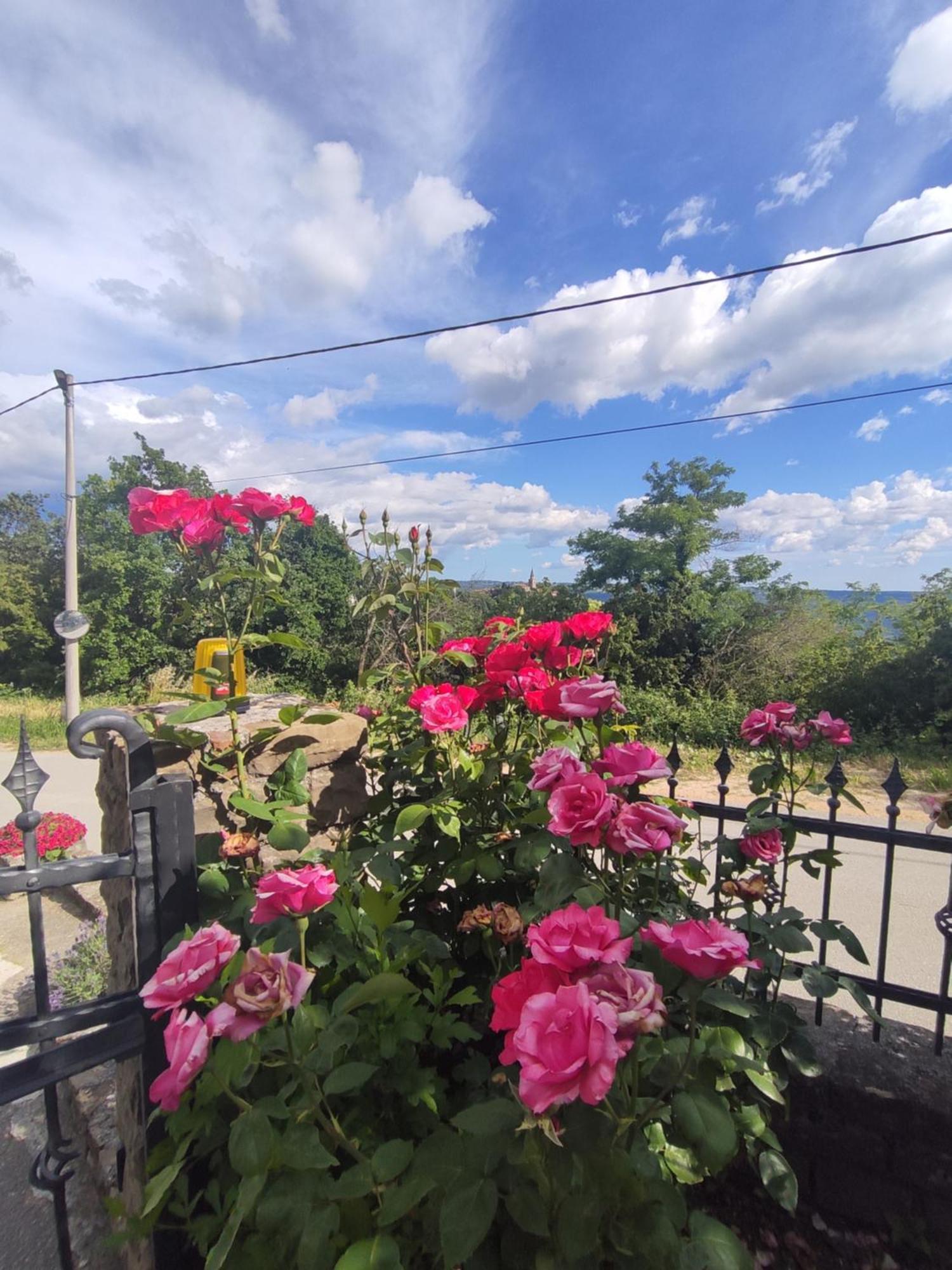 Apartman Villa Romana Grožnjan Exterior foto